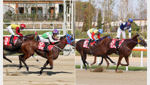 대관식만 남은 ‘실버울프’…부산경남의 희망 ‘월드선’