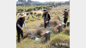 추석 앞두고 묘역 정비