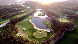 30만그루 소나무 속 ‘힐링 라운드’