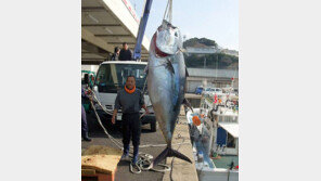 젊은이 유턴… 외지인 유치… 미래 꿈꾸는 활기찬 섬으로