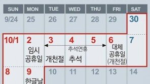 “한국, OECD 중 유일하게 휴일 관련법 無…평균보다 두달 더 일해”