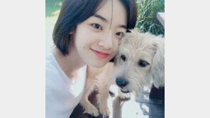 식약처 “생리대 안전”…이주영 “나라는 생리를 어떻게 생각하는 걸까”