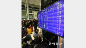 제주공항 활주로 운영 재개…국토부, 현장 조사 中