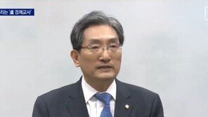 “이마트·롯데 中 철수, 사드 탓 아냐”…노영민 주중대사 발언 도마