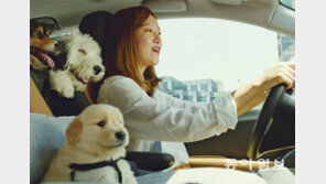 ‘또 하나의 가족’, 반려견 태우기 적합한 車는?