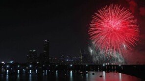 건물 옥상서 불꽃놀이 보려다 추락한 7세·11세 여아 2명, 크게 다쳐…어쩌다? 