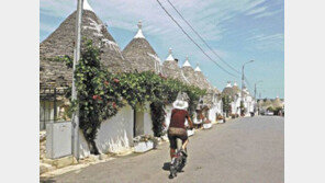 시간은 멈추고 삶의 여운만 흐른다