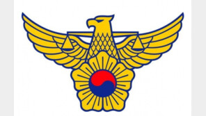 3세 아이, 놀이공원서 브레이크 풀린 SUV에 치여 사망…P아닌 D에?