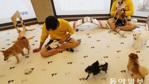 황금연휴 반려동물 호텔 “빈방 없어요”