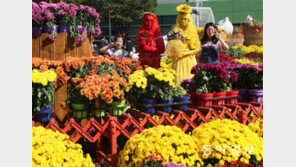 “9일까지 울긋불긋 꽃대궐… 고양으로 오세요”