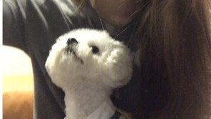 ‘컴백 초읽기’ 다비치 이해리 SNS 근황 보니…“제발 같이 찍자”