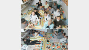 “신입, 잘 자리 없으니 나가” 텃세… 6인실에 13명 수용도