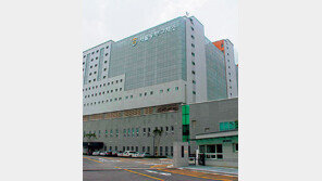 ‘님비’ 극복 대안은 법조타운… 법원-검찰청-구치소 묶어 건설