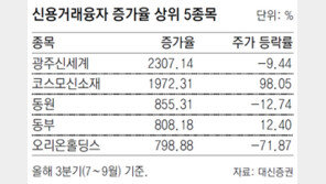 빚내 주식 산 개미 ‘울상’