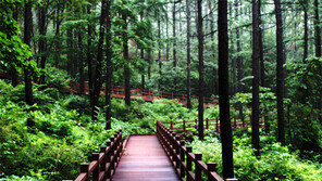 “한류에 더해 몸-마음 힐링하고 가요”