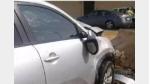 ‘여성 운전 허용’ 사우디서 운전 교습 받던 女, 교통 사고 일으켜 사망 