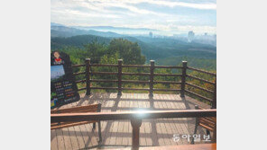 울산 입화산 정상 안내도 위치 바꿔