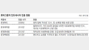 동남아 눈돌린 롯데… 印尼 재계 2위와 온라인쇼핑몰 합작