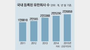 애플-MS-샤넬 등 국내 법인도 감사 받는다