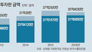 [단독]대기업 조세회피처 투자 급증