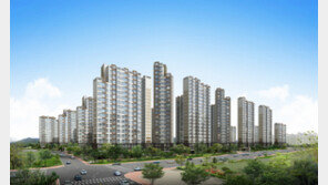 8.2 부동산대책 반사이익 ‘양주 이안’