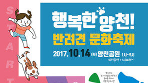 서울 양천구 반려견 문화축제 14일 개막