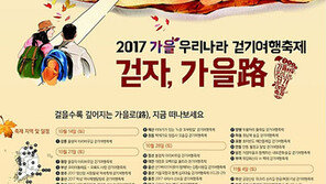 보고 먹고 즐기고…가을 걷기여행 떠나요