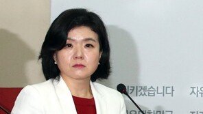 朴 구속 연장될까, 류여해 “뇌물수수 혐의 추가 영장 청구는 검사의 꼼수”