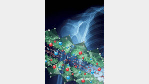 삼성전자, 피폭량 1/10로 줄인 고감도 X-ray 디텍터 소재 개발 성공