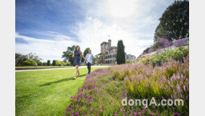 “봄내음 가득한 뉴질랜드서 꽃길만 걸어볼까”