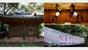 [고흥, 이야기가 있는 마을] 백마상으로 다시 태어난 새끼백마의 효심