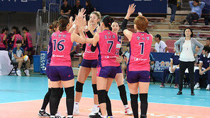 ‘새로운 구심점 찾기’ 흥국생명, 도전과 도약의 시즌