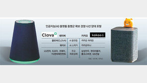  ‘AI동맹 구축’ 격돌… 가전에서 자동차-건설사까지 손잡는 양대 포털
