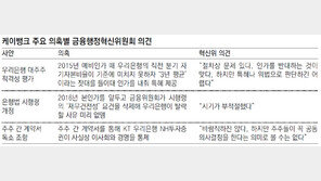 “케이뱅크 인가 절차상 문제” 정부 자문기구도 공식 제기