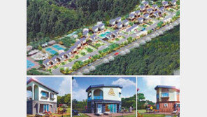 [화제의 분양현장]가구별 수영장 딸린 수익형 풀빌라 