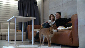 [오늘의 채널A] 강아지와 고양이의 불꽃튀는 신경전