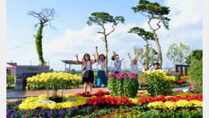 경북은 지금 축제 중… 주말 어디로 갈까