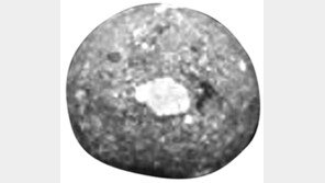 정유재란 명량대첩때 쓴 ‘조란탄’ 발굴