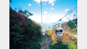 부영 무주덕유산리조트, 곤도라 타고 가을 산행 떠나볼까