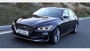 9개월새 10만대… 그랜저IG, 잘 나가네