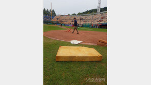 [순간포착] 사직구장에 등장한 대형 스펀지