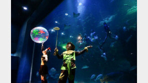 한화 아쿠아플라넷 일산, 새 공연 ‘오즈의 마법사’ 도입