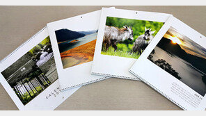 양구 오지마을, 달력 만들어 마을 홍보