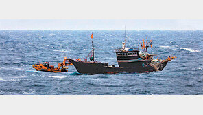 쇠창살 中어선 90% 감소… 엄정대처 효과 봤다