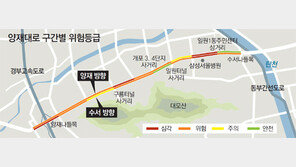 횡단보도 6개… 이상한 車전용도로