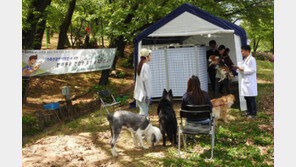 치사율 높은 광견병, 예방접종은 필수!