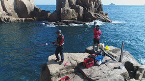 낚시·골프…지금은 ‘취미 예능’ 시대