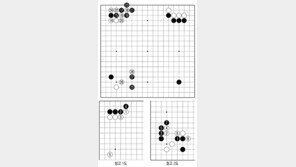 [바둑]알파고 vs 알파고 특선보… 인공지능의 놀라운 학습력