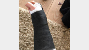 에드 시런 내한공연 불발, 티켓 전액 환불…“자전거 사고로 골절상”