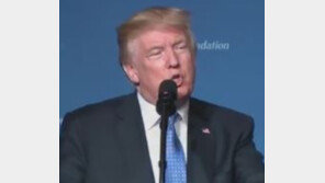 트럼프 “IS 수도 락까 함락은 내 덕…나 부임 전엔 지고 있었다” 